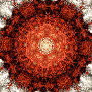 Image-2026-03-27-143405_1.1.1