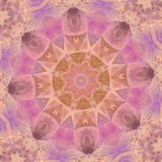 Image-2026-03-29-161837_1.1.2