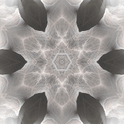 Image-2026-04-05-182044_1.1.1