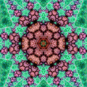 Image-2026-04-07-101302_1.1.1
