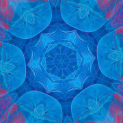 Image-2026-04-07-130500_1.1.1