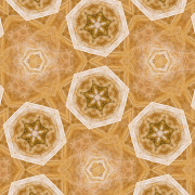 Versaille3_1.1.2