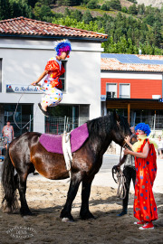 Spectacle équestre